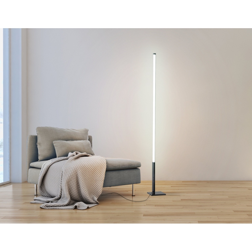 Eglo - Lámpara de pie LED regulable LED/14W/230V 2700-6500K + mando a distancia