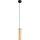 Eglo 79342 - Lámpara colgante PINTO GOLD 1xE27/40W/230V dorado