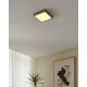 Eglo - Lámpara de baño LED regulable LED/16,5W/230V IP44 ZigBee