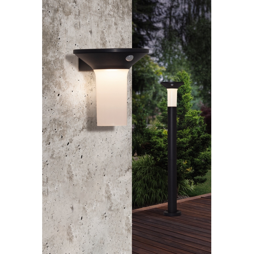 Eglo - Lámpara solar LED para exteriores con sensor 6xLED/0,03W/3,7V 1500 mAh IP44