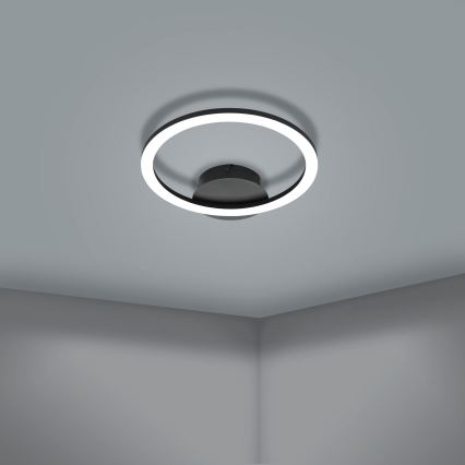 Eglo - Plafón LED regulable LED/15W/230V