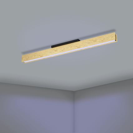 Eglo - Plafón LED RGBW regulable LED/35W/230V 2700-6500K