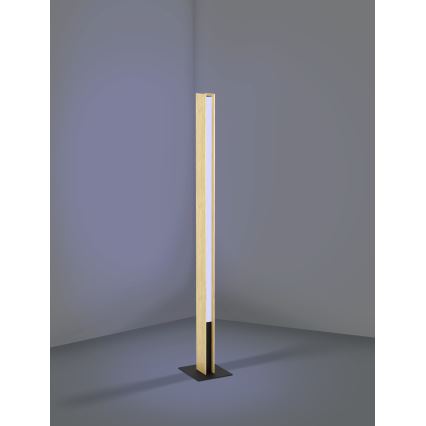 Eglo - Lámpara de pie LED RGBW regulable LED/35W/230V