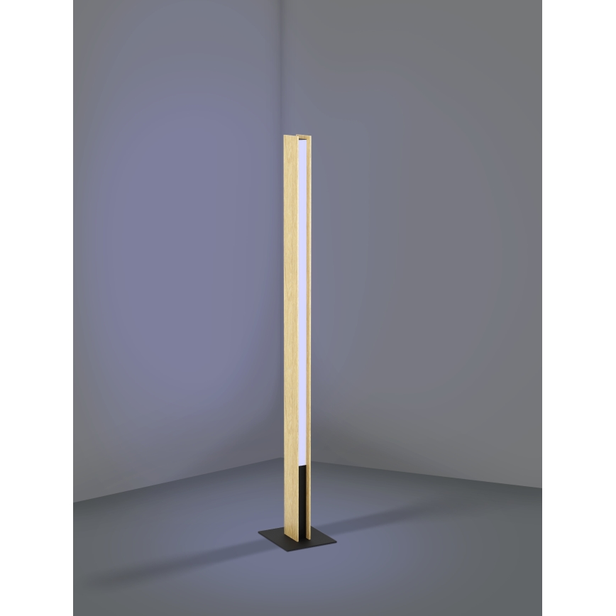 Eglo - Lámpara de pie LED RGBW regulable LED/35W/230V