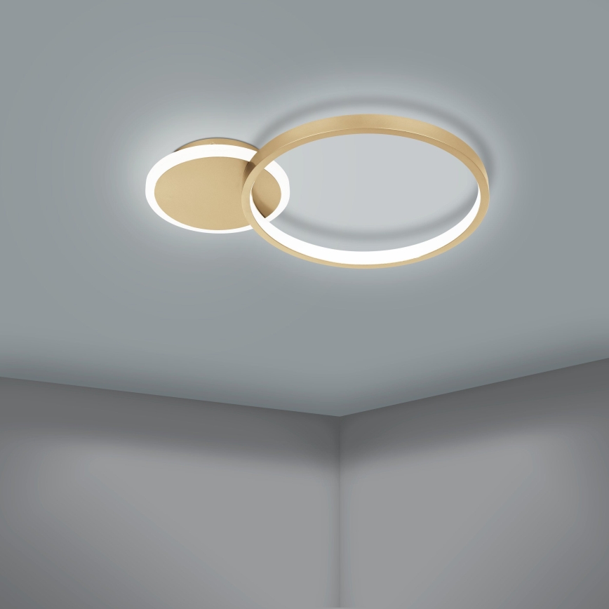 Eglo - Plafón LED regulable LED/15W/230V dorado + mando a distancia