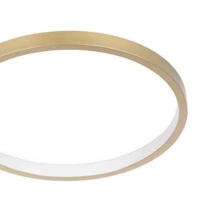 Eglo - Plafón LED regulable LED/15W/230V dorado + mando a distancia