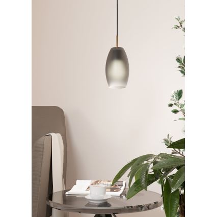 Eglo - Lámpara colgante 1xE27/40W/230V