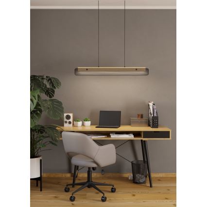 Eglo - LED RGBW Lámpara colgante regulable LED/34W/230V 2700-6500K