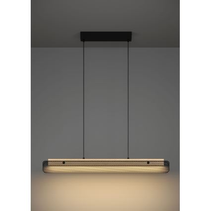 Eglo - LED RGBW Lámpara colgante regulable LED/34W/230V 2700-6500K
