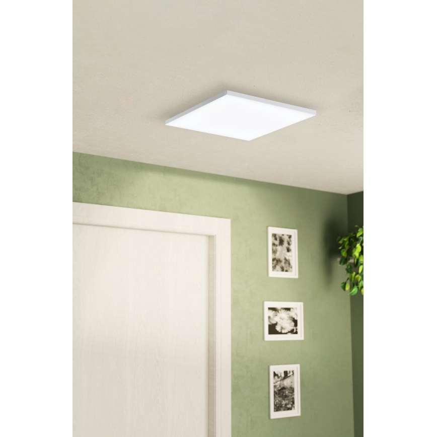 Eglo - Plafón LED LED/10,8W/230V
