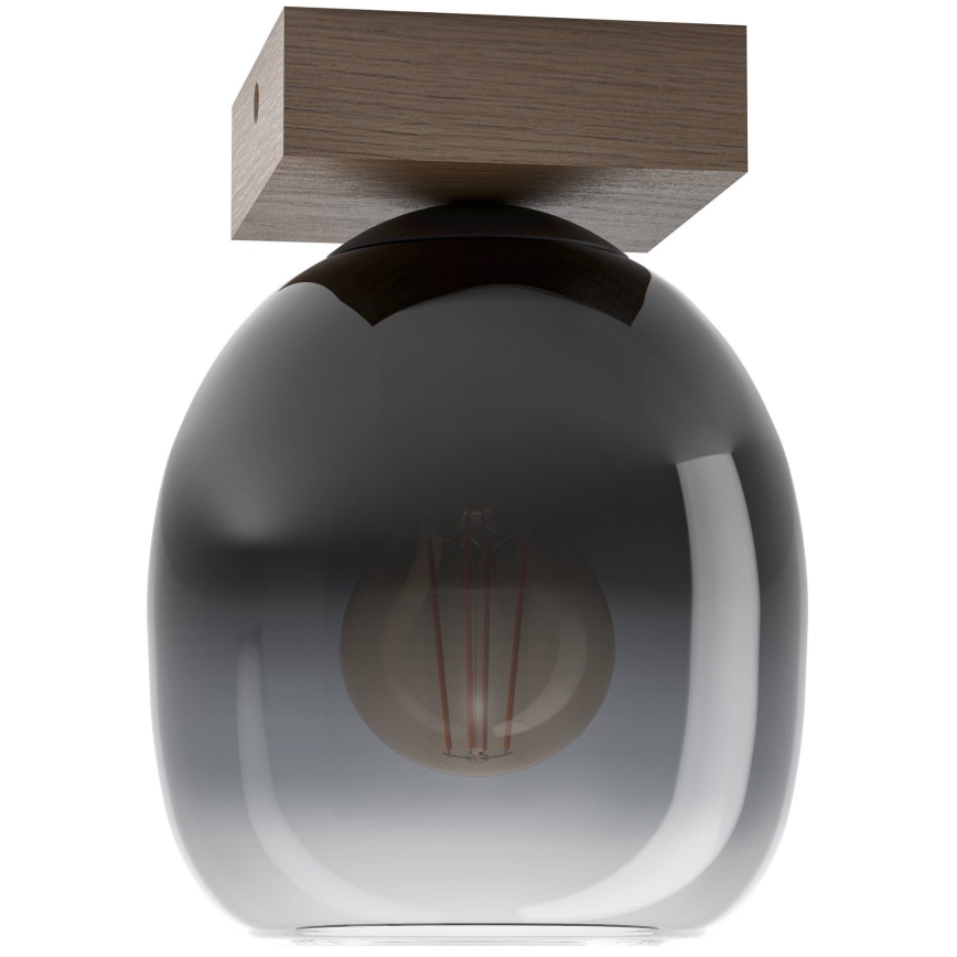 Eglo - Plafón 1xE27/40W/230V