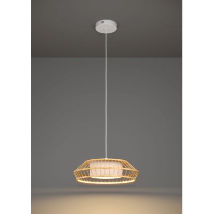 Eglo - LED RGBW Lámpara colgante regulable LED/22W/230V 2700-6500K