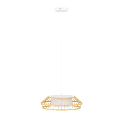 Eglo - LED RGBW Lámpara colgante regulable LED/22W/230V 2700-6500K