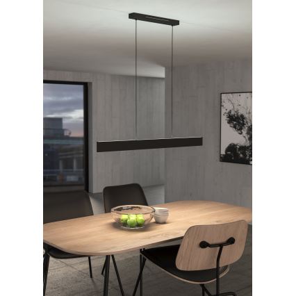 Eglo - LED RGBW Lámpara colgante regulable LED/38W/230V 2700-6500K negro