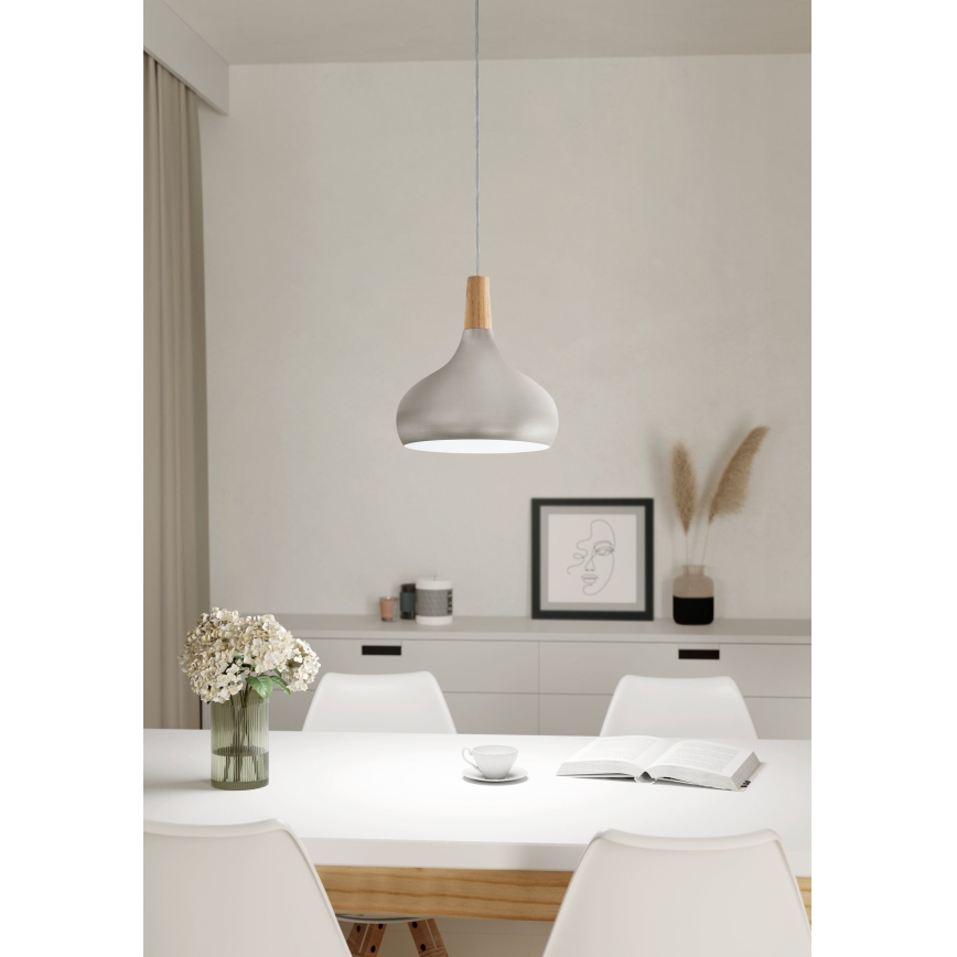 Eglo - Lámpara colgante 1xE27/60W/230V diá. 28 cm plata - FSC Certificado