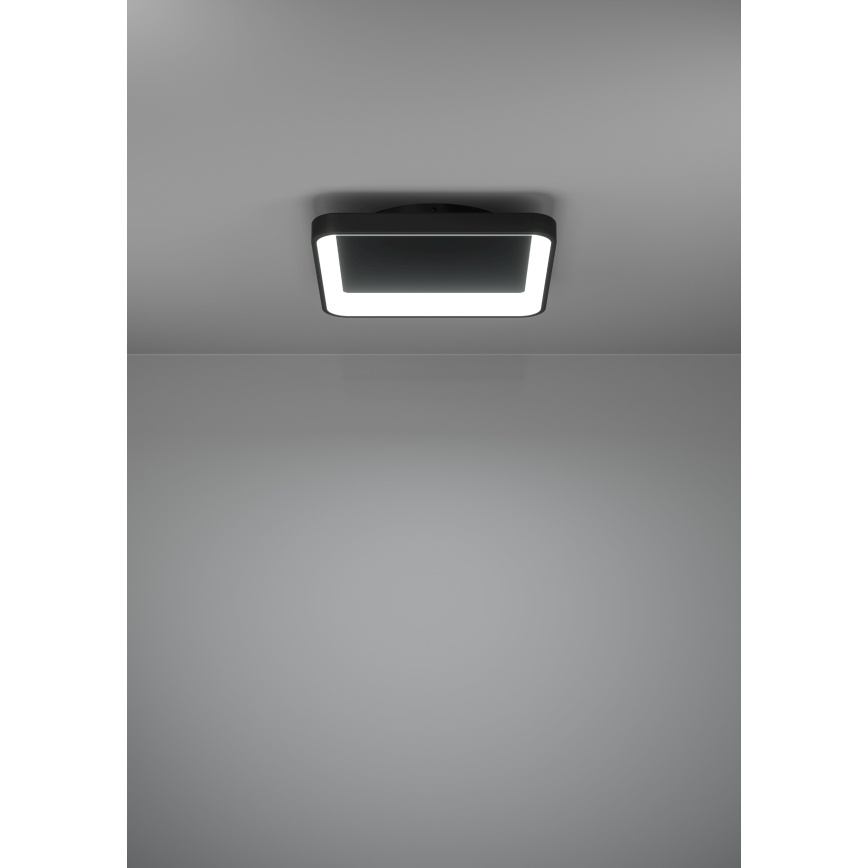 Eglo - Plafón LED regulable LED/12W/230V 2700-6500K negro + control remoto