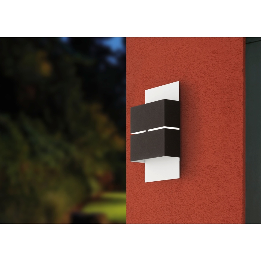 Eglo - Iluminación LED exterior 2xLED/2,5W/230V IP44