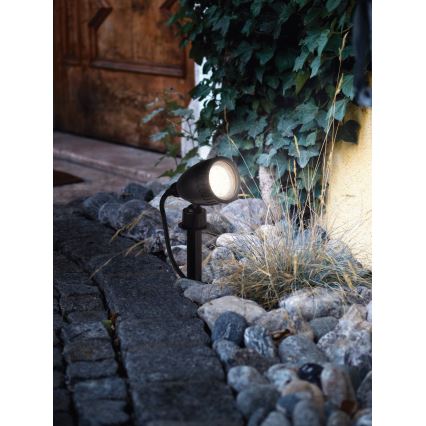 Eglo - Iluminación LED exterior 1xGU10/3W/230V IP44