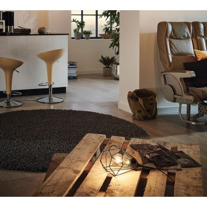 Eglo - Lámpara de mesa con enchufe 1xE27/60W/230V