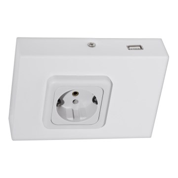 Eglo 94665 - Enchufe bajo mueble de cocina SCHUKO incluye USB TAXANO