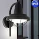 Eglo 94862 - LED Lámpara de exterior COLINDRES 1 1xE27/8,5W/230V IP44