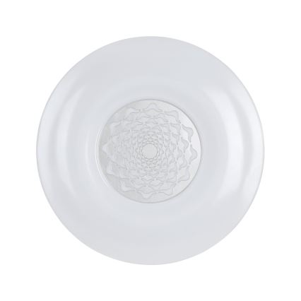 Eglo - Plafón LED LED/24W/230V