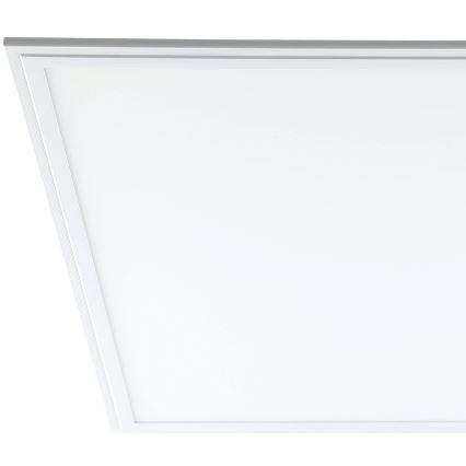 Eglo - Panel LED de techo LED/40W/230V