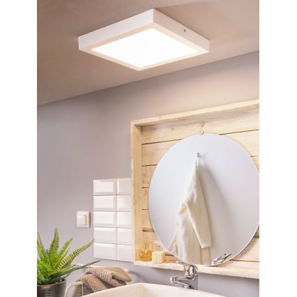 Eglo 96169 - LED Plafón para el baño FUEVA 1 LED/22W/230V IP44