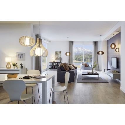 Eglo 96213 - Lámpara colgante TINDORI 1xE27/60W/230V
