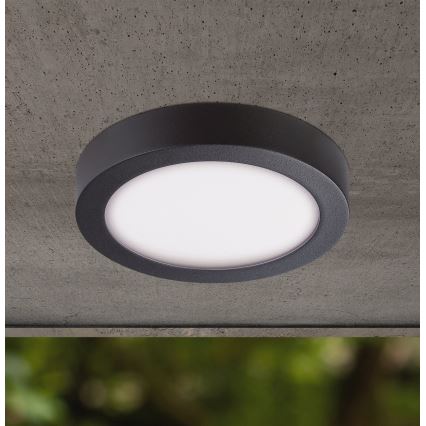 Eglo - LED Plafón exterior LED/16,5W/230V IP44