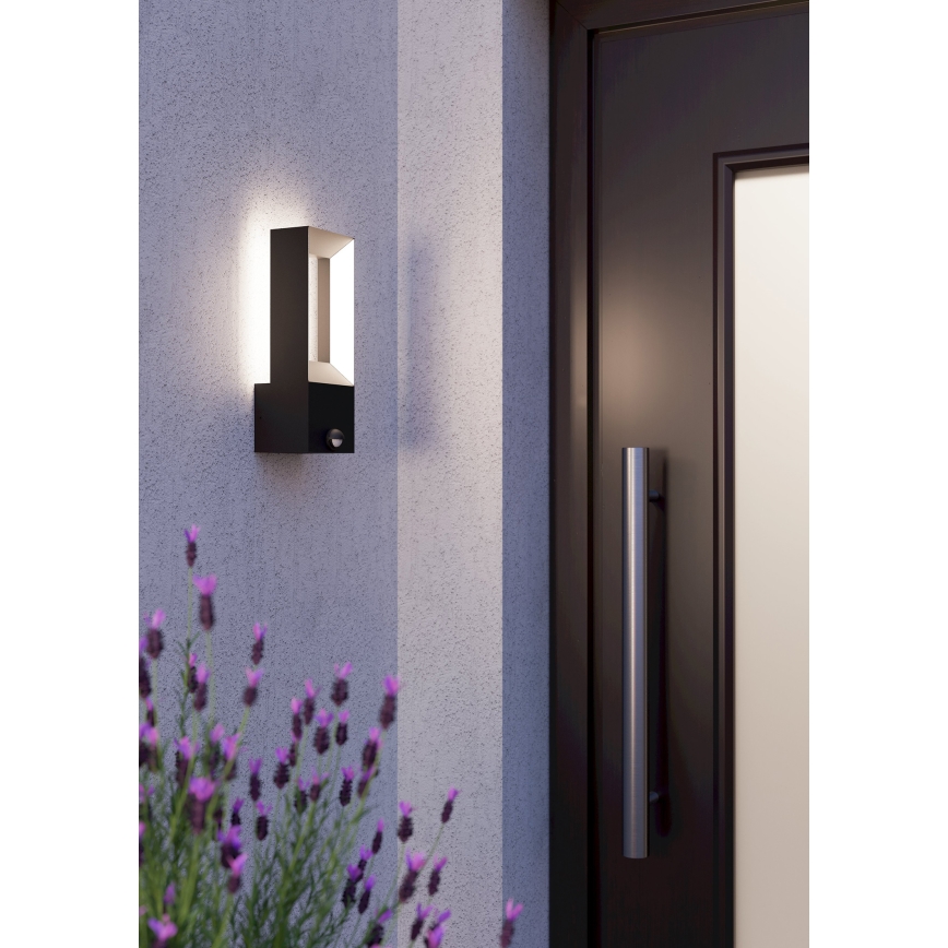 Eglo - Lámpara LED Exterior con sensor 2xLED/5W/230V IP44