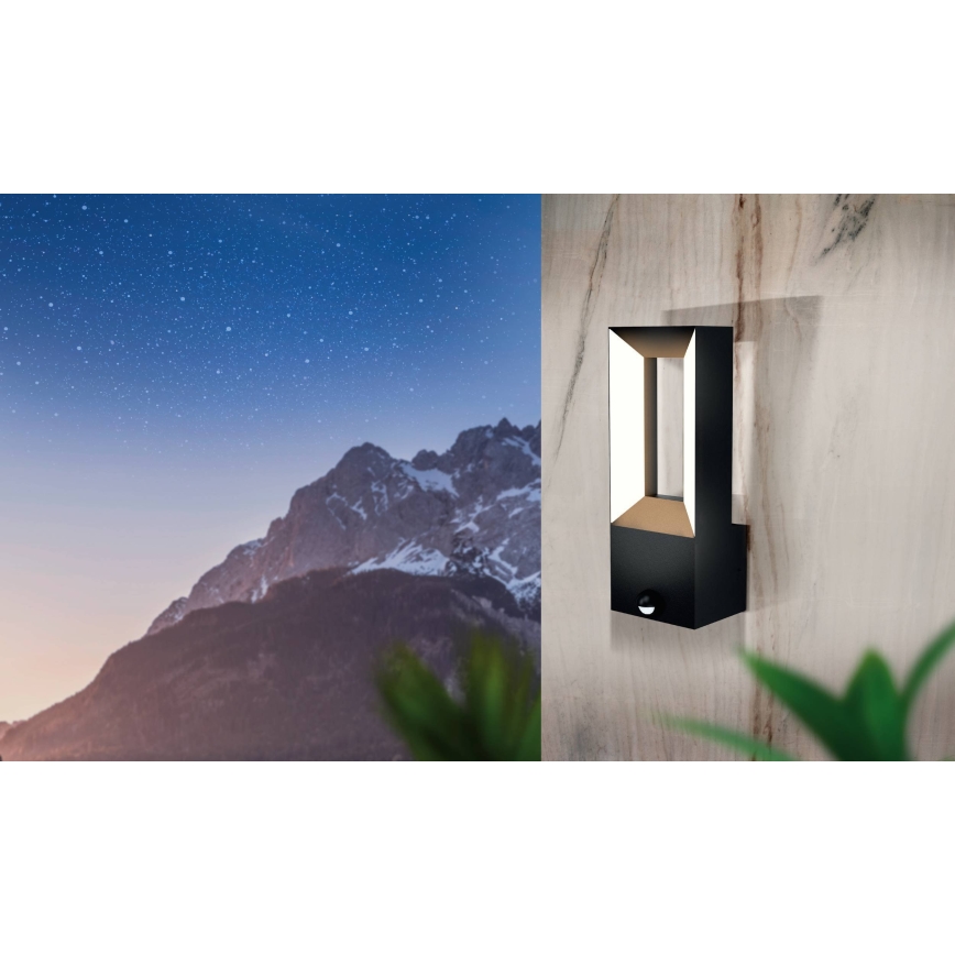 Eglo - Lámpara LED Exterior con sensor 2xLED/5W/230V IP44