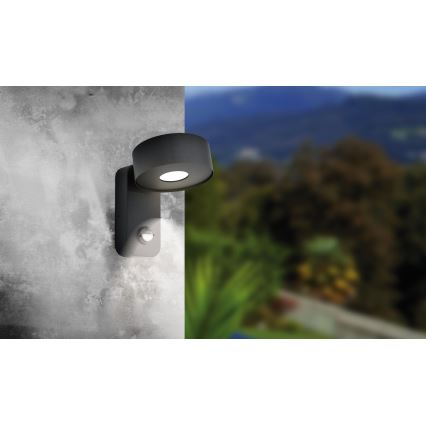 Eglo - LED Aplique exterior con sensor LED/6W/230V IP44