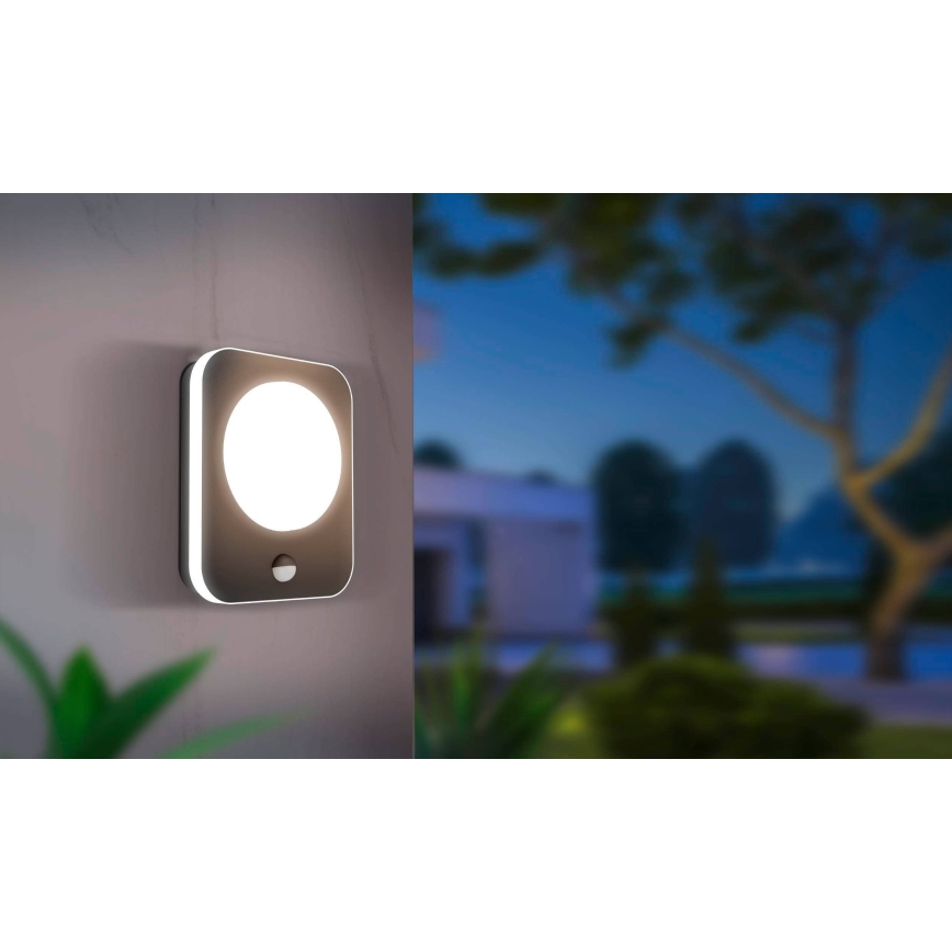 Eglo - Aplique de exterior LED con sensor LED/9W/230V IP44