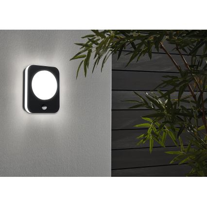 Eglo - Aplique de exterior LED con sensor LED/9W/230V IP44