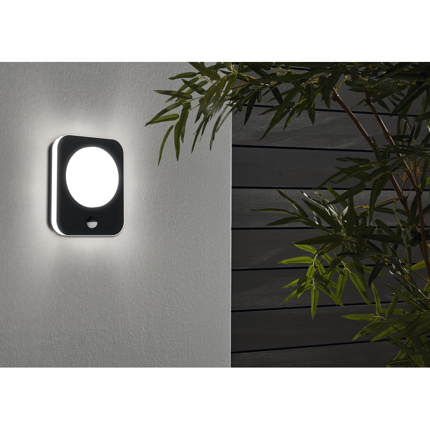 Eglo - Aplique de exterior LED con sensor LED/9W/230V IP44