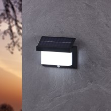 Eglo - Aplique LED solar con sensor LED/3,84W/3,7V IP44
