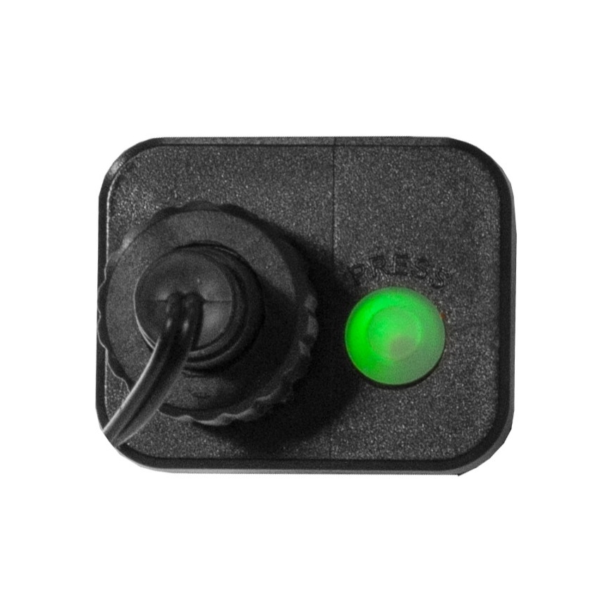 Eglo - Cadena de Navidad LED de exterior 300xLED/8 funciones 11m IP44 blanco cálido