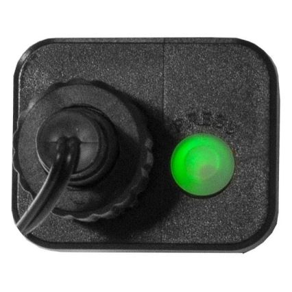 Eglo 472-53 - Cadena LED de Navidad para exteriores BERRY MINI 700xLED/8 funciones 14m multicolor IP44