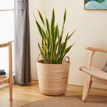 Eglo - Cesta decorativa 41x36 cm beige