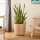 Eglo - Cesta decorativa 41x36 cm beige