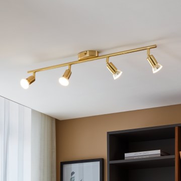 Eglo - Foco LED 4xGU10/2,8W/230V 3000K dorado