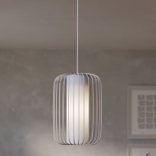 Eglo - Lámpara colgante 1xE27/40W/230V diá. 24 cm