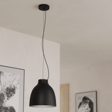 Eglo - Lámpara colgante 1xE27/40W/230V negro