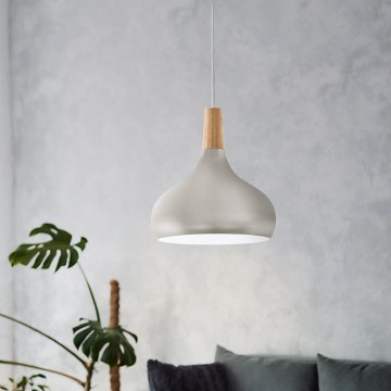 Eglo - Lámpara colgante 1xE27/60W/230V diá. 28 cm plata - FSC Certificado