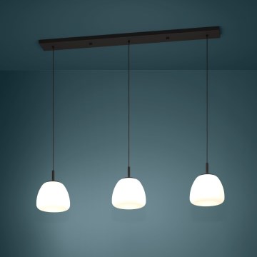 Eglo - Lámpara colgante 3xE27/40W/230V negro