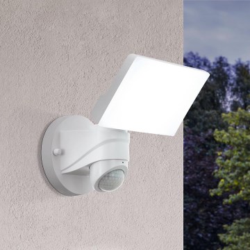 Eglo - Lámpara de exterior LED con sensor LED/15W/230V IP44