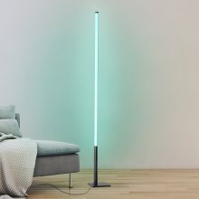 Eglo - Lámpara de pie LED RGB regulable LED/13,5W/230V 2700-6500K + mando a distancia