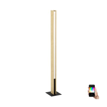Eglo - Lámpara de pie LED RGBW regulable LED/35W/230V