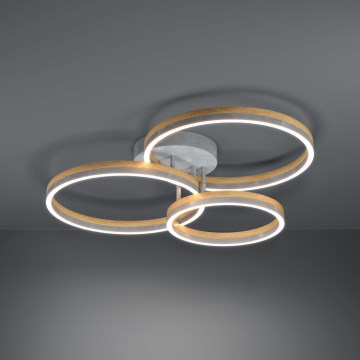 Eglo - Lámpara de techo LED regulable LED/12,5W/230V + 2xLED/15,5W 3000K gris/roble